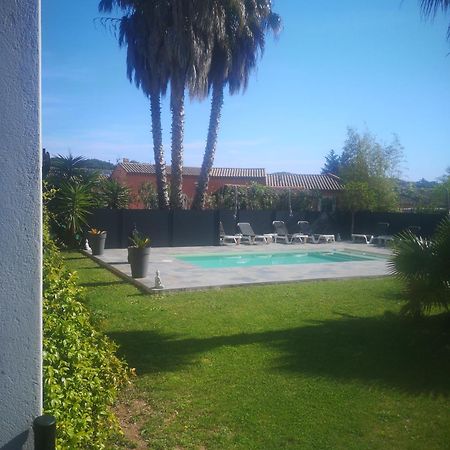 Le Mas Du Bijou Bleu Puget-sur Argens Ngoại thất bức ảnh